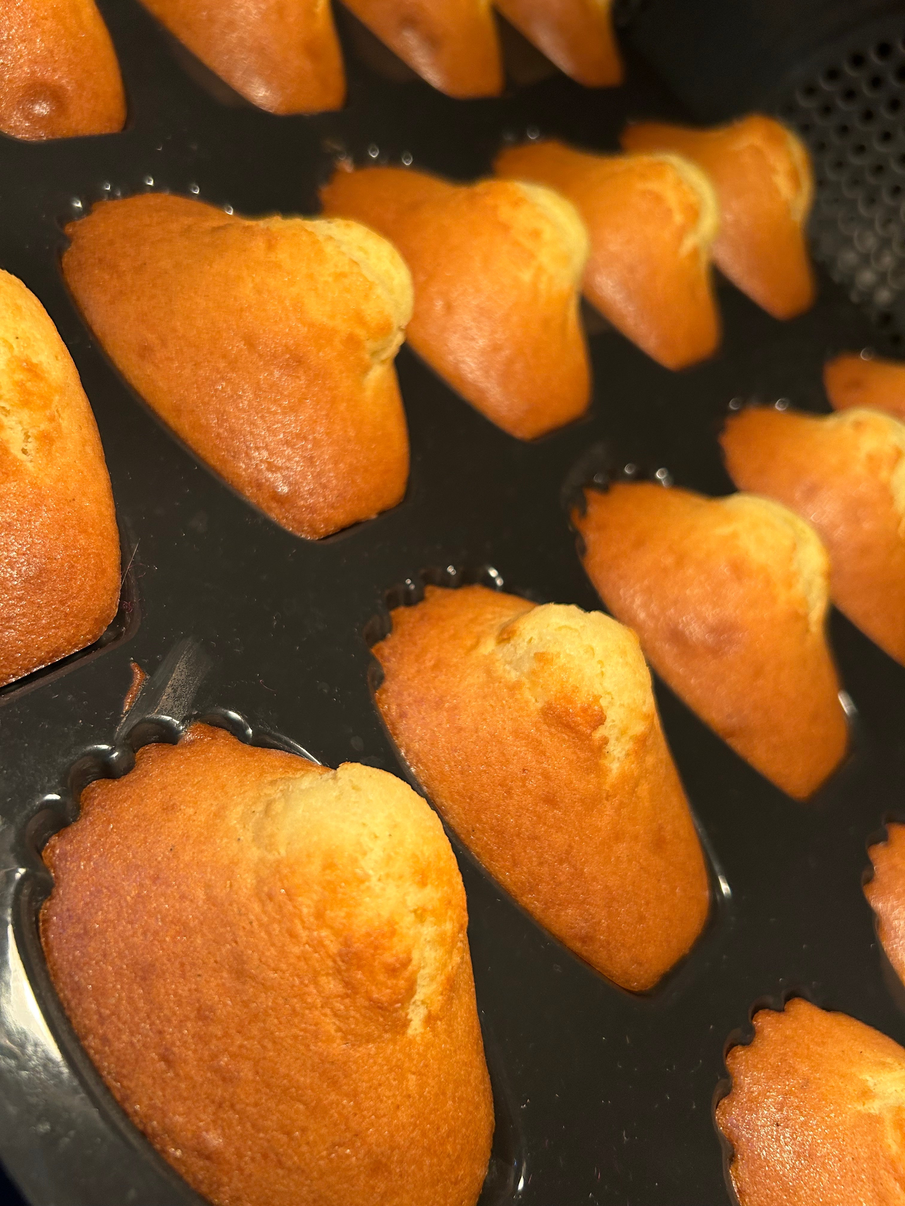 Madeleine à la vanille