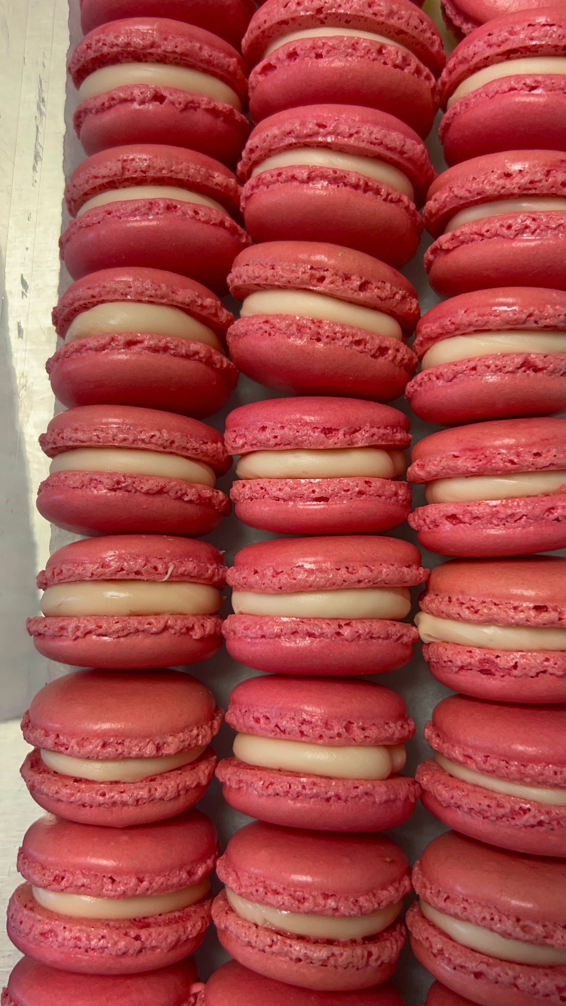 Macaron